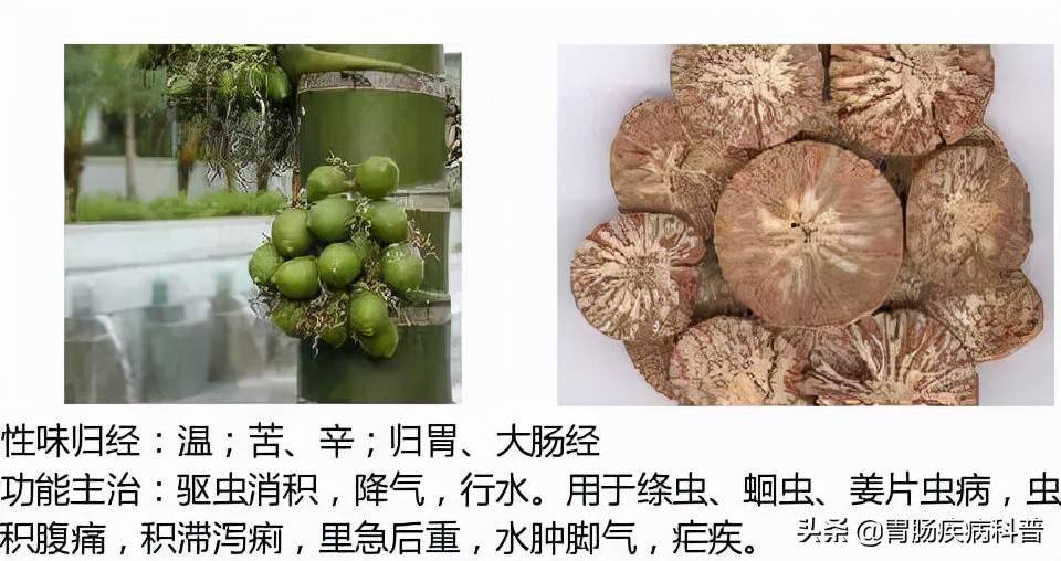 全网最全的中草药图谱——图片 性味归经 主治功效,还