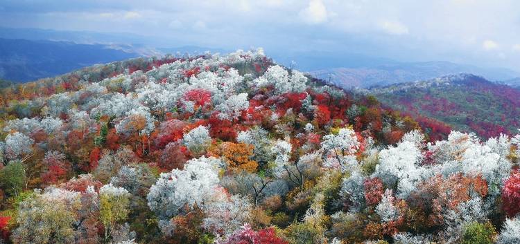 靖宇|赏醉美金秋游大美白山