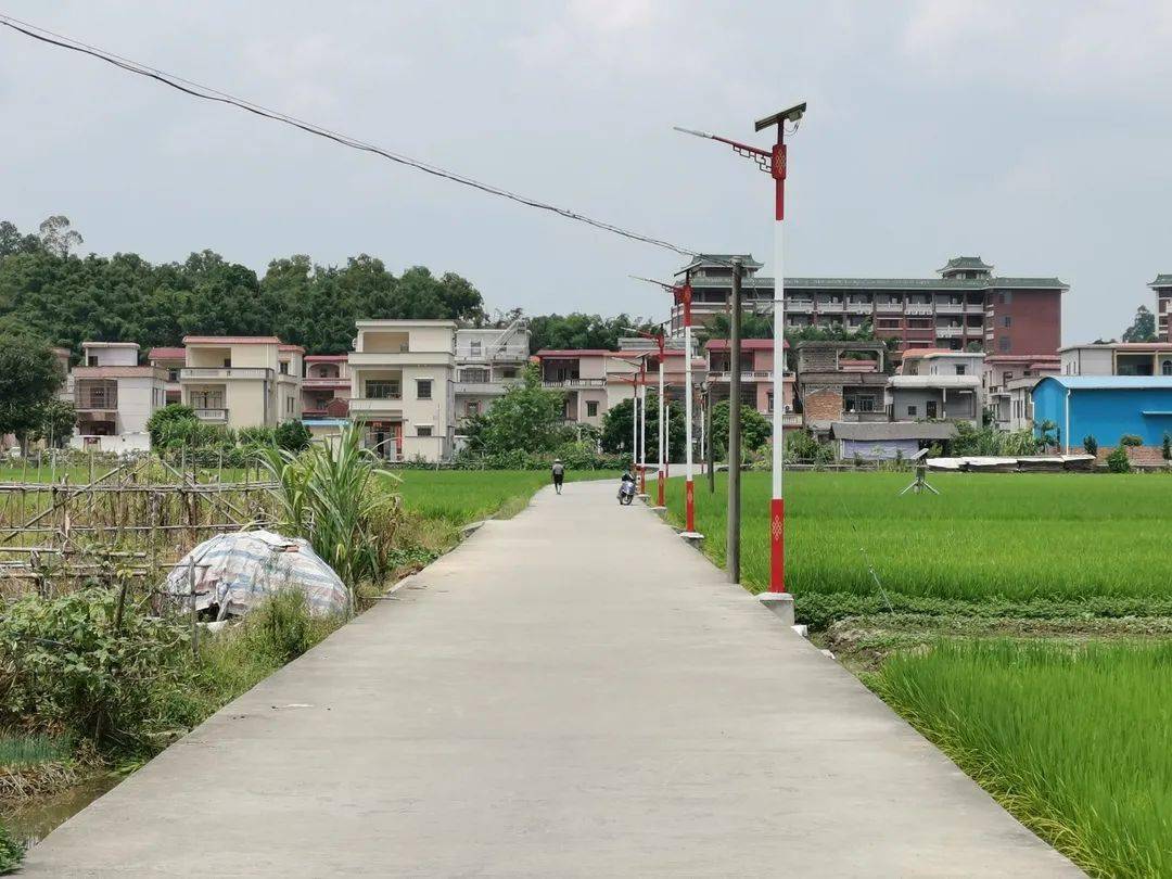 桃源镇蟠光村重建桥梁升级道路,大力提升乡村颜值!