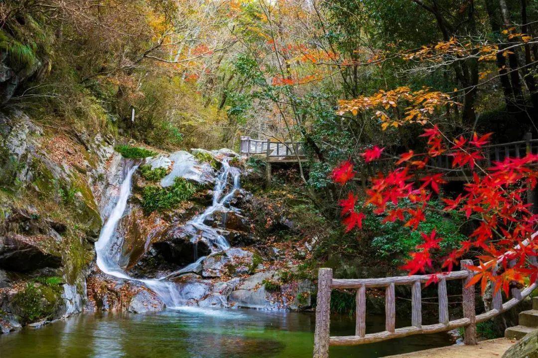 优惠措施:景区门票半价 景区地址:黄冈市英山县桃花冲林场 咨询电话
