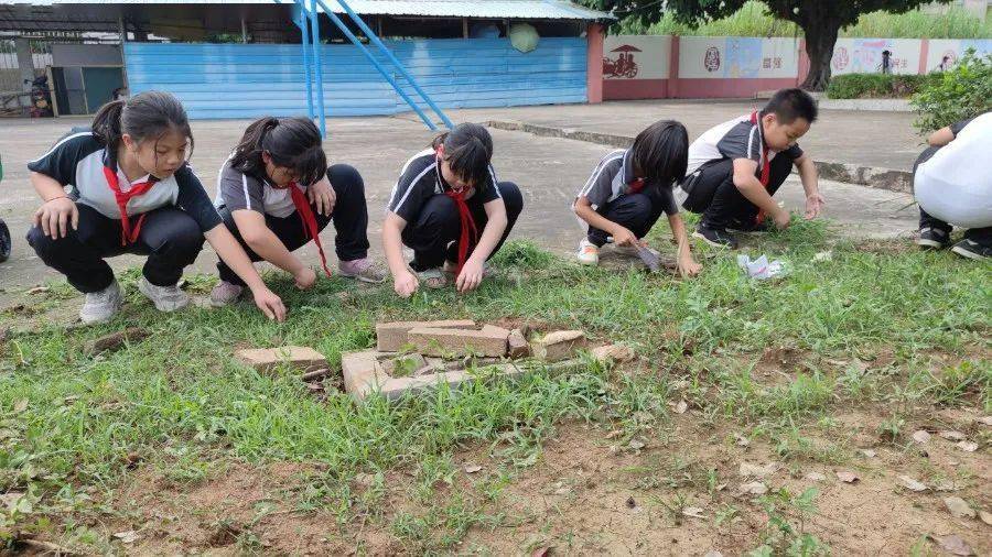 校园的劳动实践活动,让学生积极参与,并通过劳动掌握技能