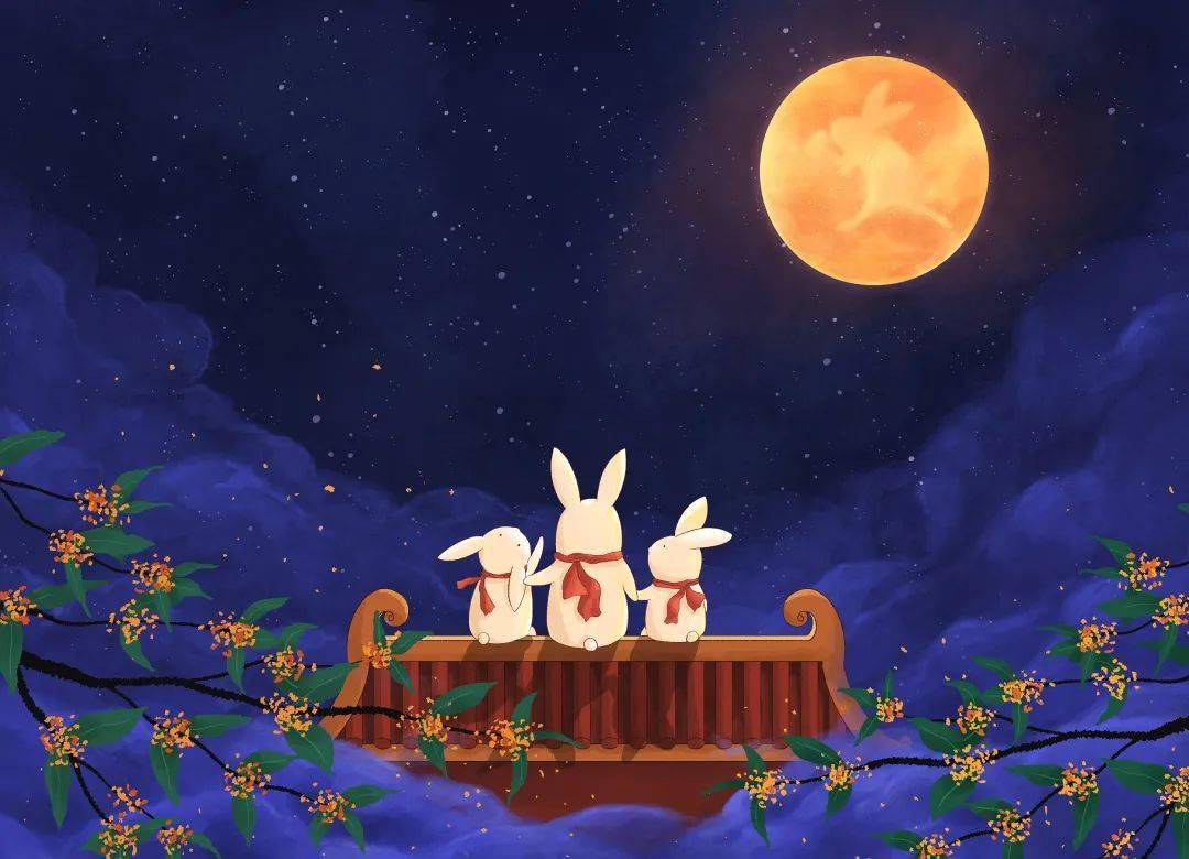 一只兔子的登月之旅_玉兔