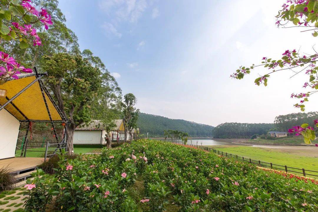 国庆自驾游推荐入住肇庆猫爪谷景区含景区门票早餐水乐园门票超美湖景