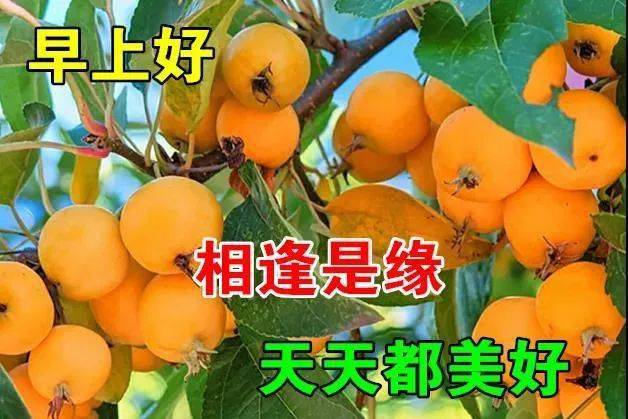 平平安安早上好动画表情包,开心快乐早上好动画表情包