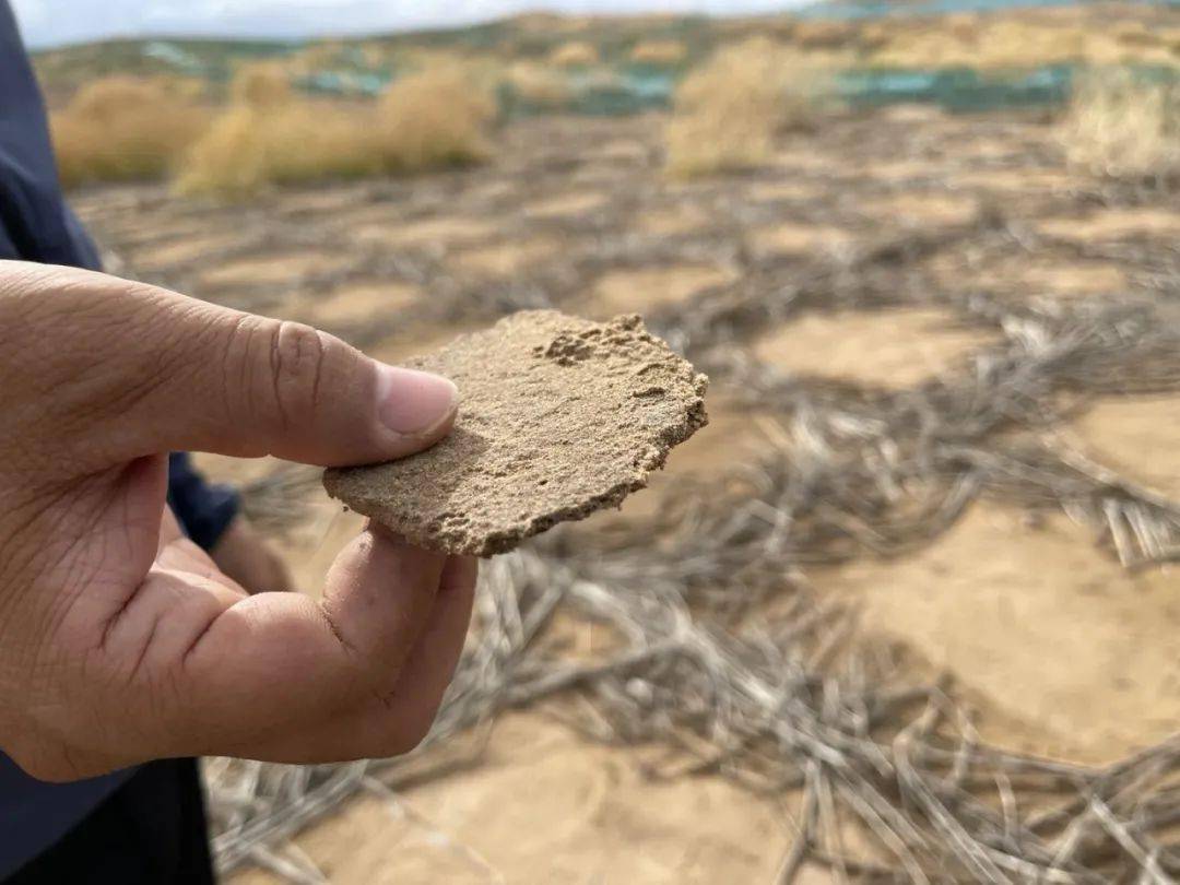 宁夏防治沙新突破:"生物矿化固沙技术"在国内首次应用