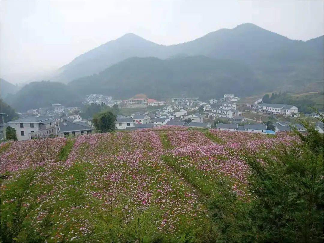 乡村生态环境综合治理丨上杭古田镇吴地村"护红色圣地,造绿色福村"