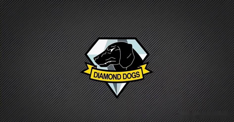 所以vs收留了小狗并给它取名为dd,意为diamond dog(钻石狗,也是vs旗
