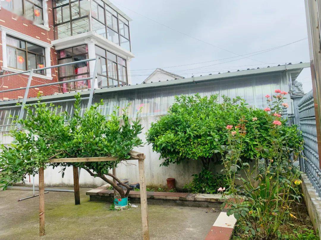 八卦洲街道妇联开展美丽庭院创建检查评比活动