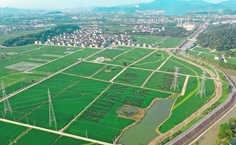 近日,杭州市萧山区农业农村局组织召开未来乡村创建研讨会,专题研究