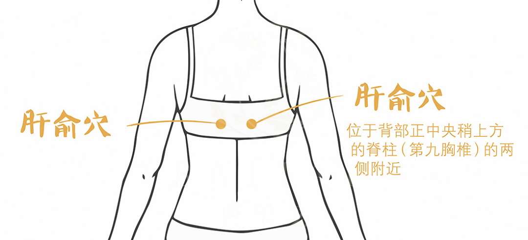 四关和四门是为了疏导气机,膈俞和血海是为了化解瘀血,化生新血.