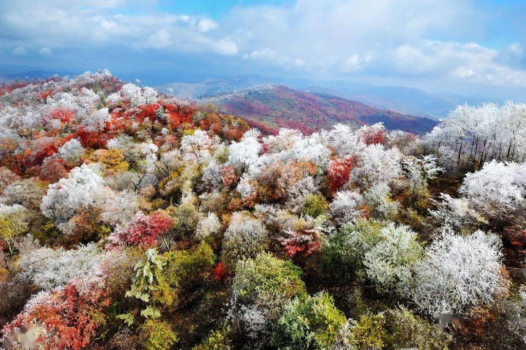 金秋游白山 | 浑江区四方山枫叶谷美炸了