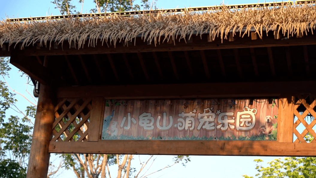 放假了寻宝去