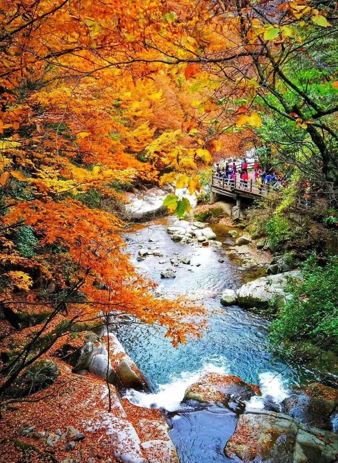 穿越秦岭腹地,红叶光雾山绝美秋色来袭!为你翻山越岭