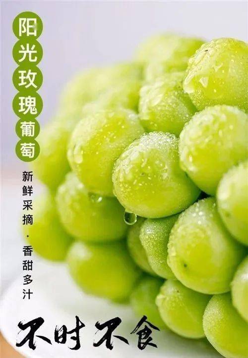 城区管送特甜的阳光玫瑰葡萄青提特价85元斤快来一起拼团吧