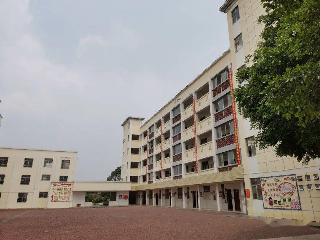 武鸣这些学校发生巨大变化快看有你的母校吗