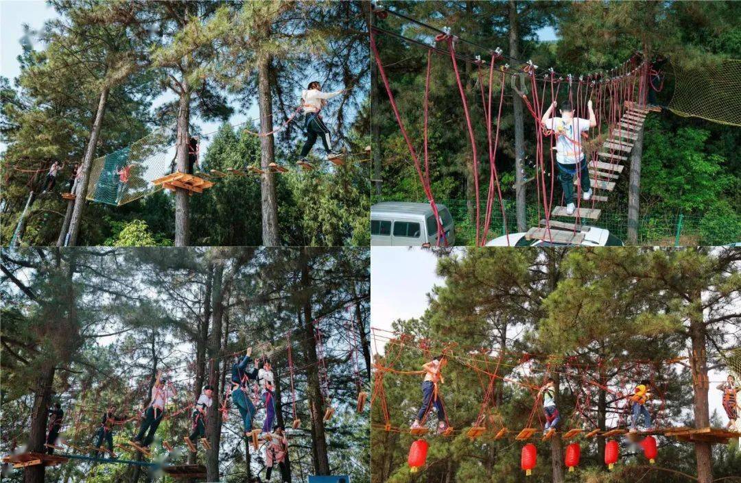 48元抢购阆中欢乐丛林门票