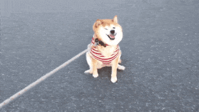 休息的你一定是这样的 然而 贴心(魔鬼)的小编 又要来给大家报天气啦