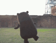 236_180gif 动态图 动图