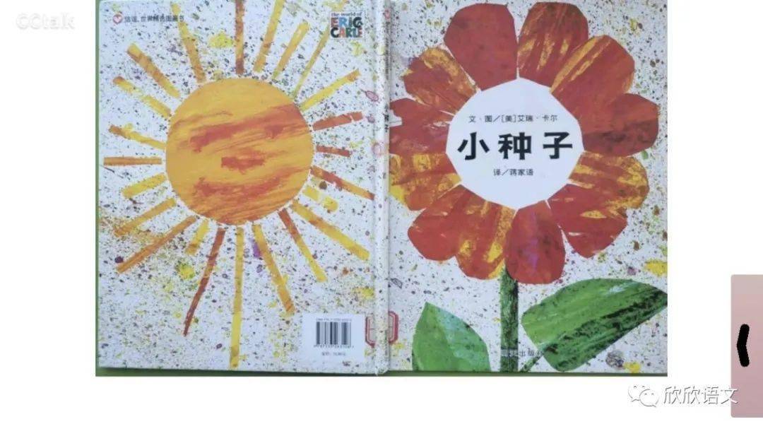 绘本教学小种子