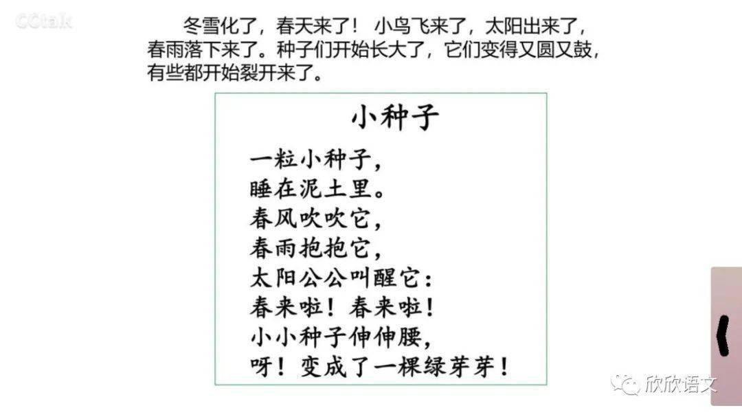 绘本教学|《小种子》