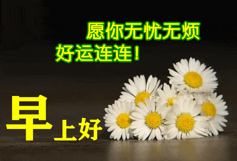 2021早上好祝福表情图片大全,早上好动态鲜花图片!