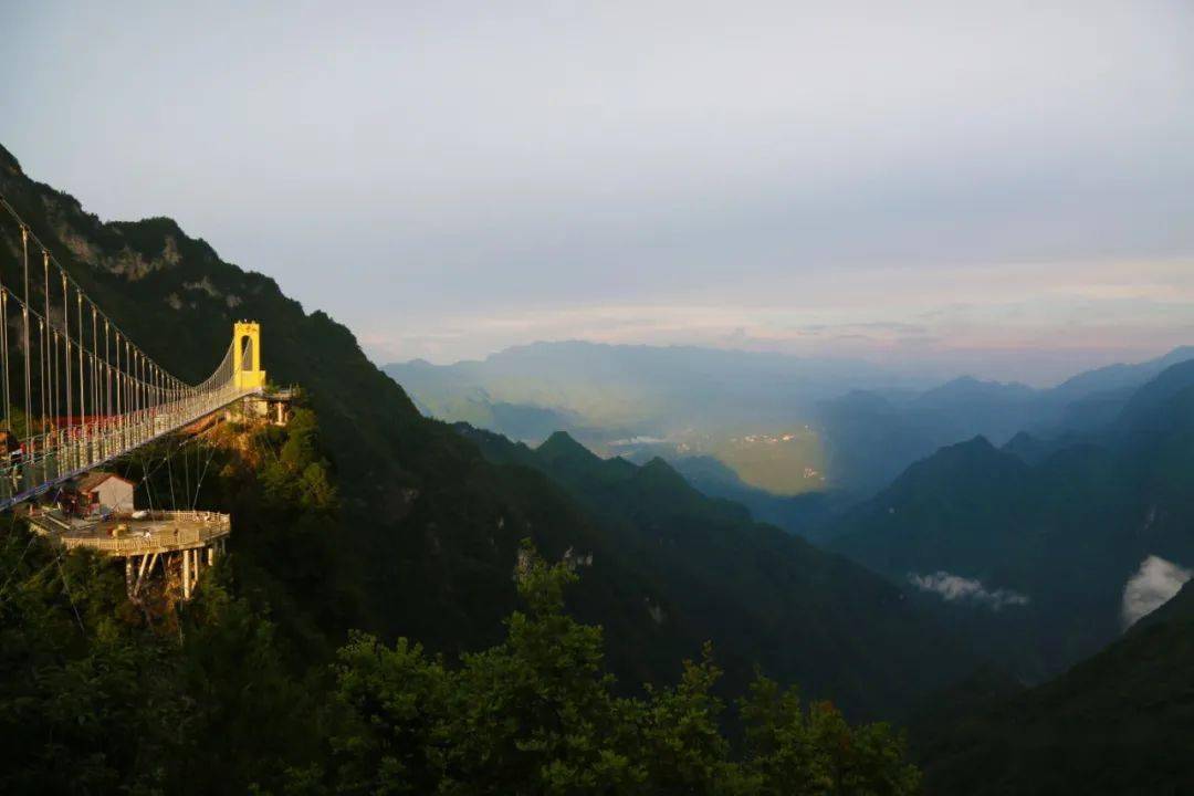 八台山景区开展百里坡旧院黑鸡免费抓回家,景区门票免费领等活动.