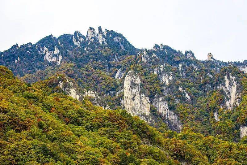 泡温泉赏红叶整整一个月尧山风景区免门票啦