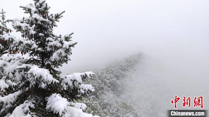 圣地|雪浴“道源圣地”崆峒山：古刹白雪墨泼若仙境