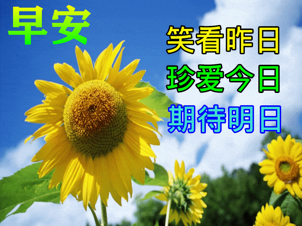 早上好动态表情图片大全,早晨好动图美图大全
