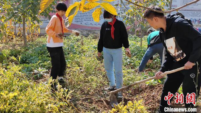 10月11日,兰州市七里河区王家堡教育集团劳动实践基地内,学生正在进行