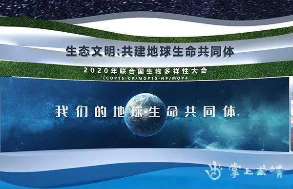 《生物多样性公约》于1992年在联合国环境与发展大会上通过,是联合国