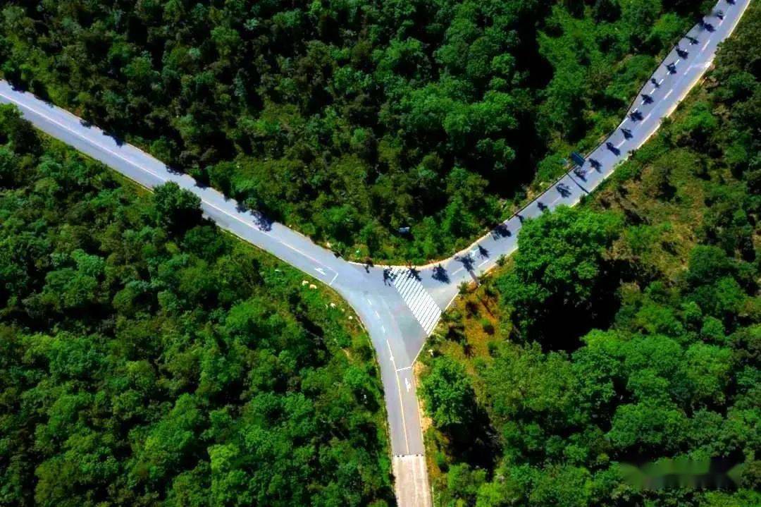 全国美丽乡村路!全椒这条公路入选啦!滁州唯一!