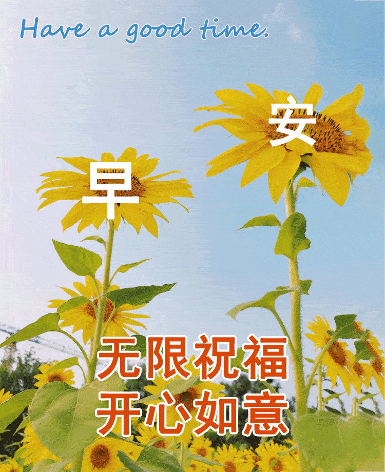 无论是早晚,不管是晴雨,我都愿陪在你身边,愿你快乐每一天