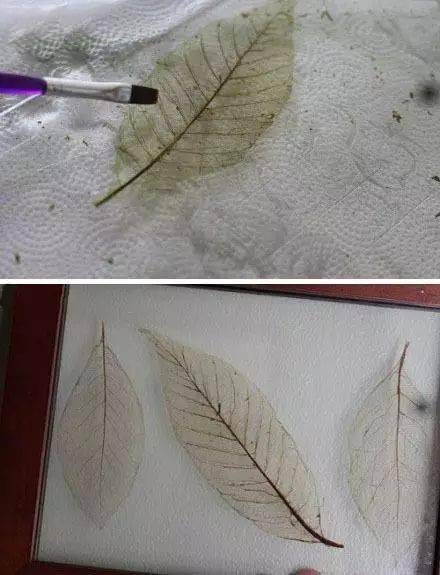 制作步骤:从白色卡纸上剪出枫叶,然后用热熔胶枪画出枫叶的叶脉.