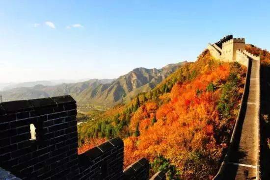 黄崖关长城景区是全国知名红叶风景区之一,每逢秋日,黄崖关边关内外漫