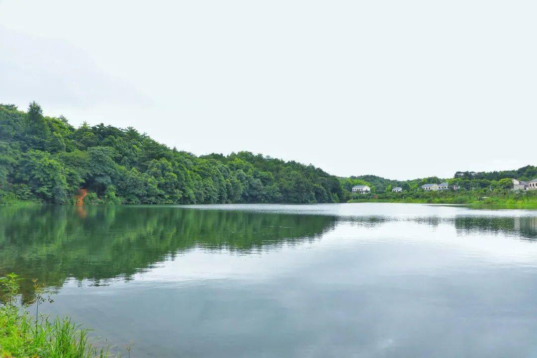 靓!望城这个藏在景区里的美丽乡村,你走过吗?_光明村