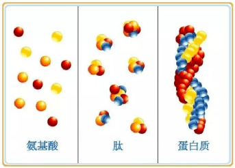 好看的人都在戳在看返回搜狐,查看更多