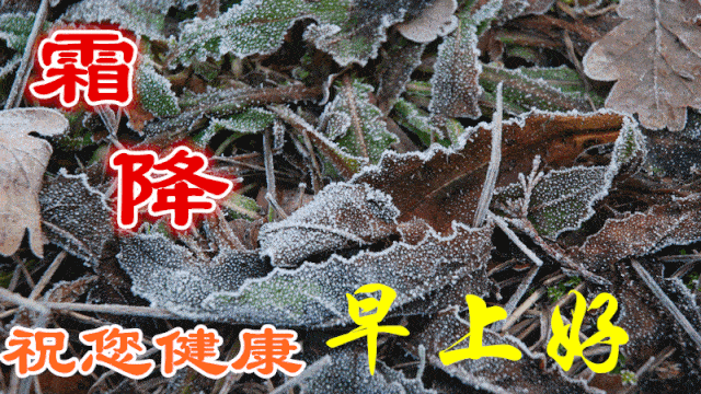 聊天不用打字带字动图;明日霜降,送上问候,致我最在乎的人!