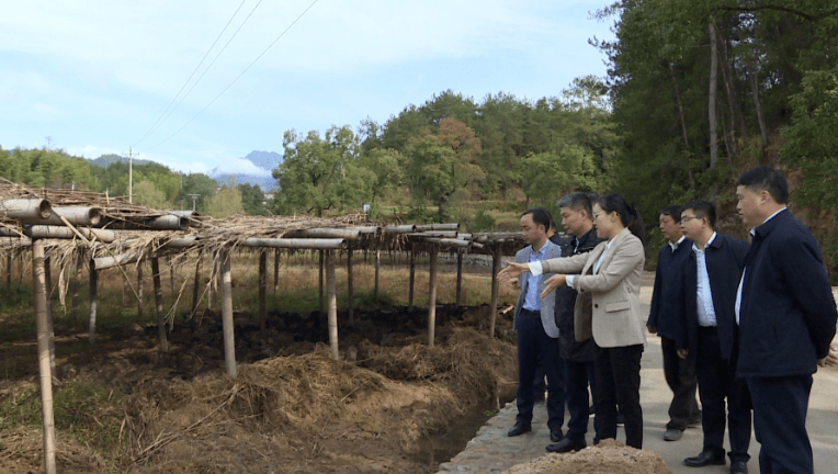 黄冈市副市长荣先国到罗田县九资河镇调研乡村振兴工作