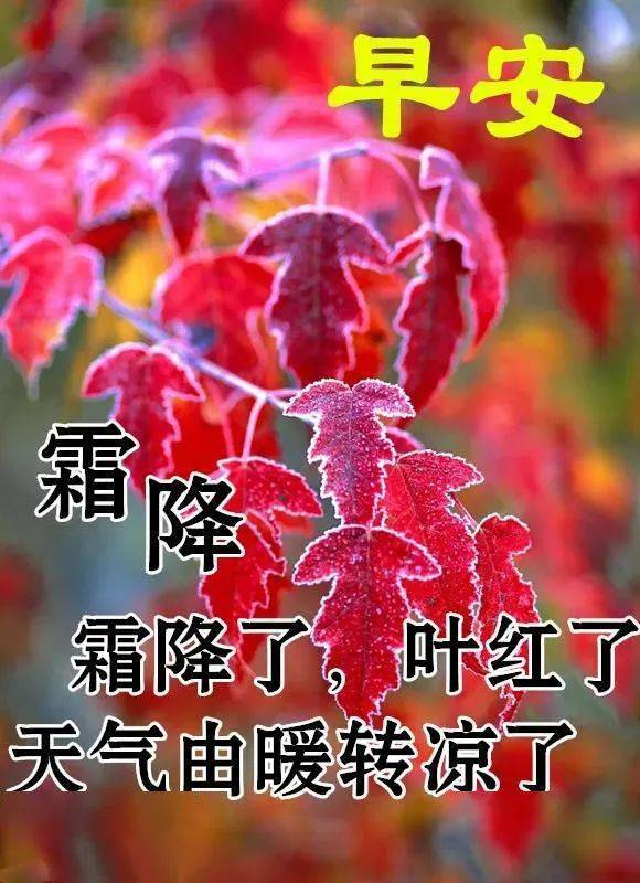 最新霜降问候祝福图片,2021霜降祝福语大全!