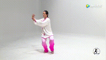 32式太极拳动图全解