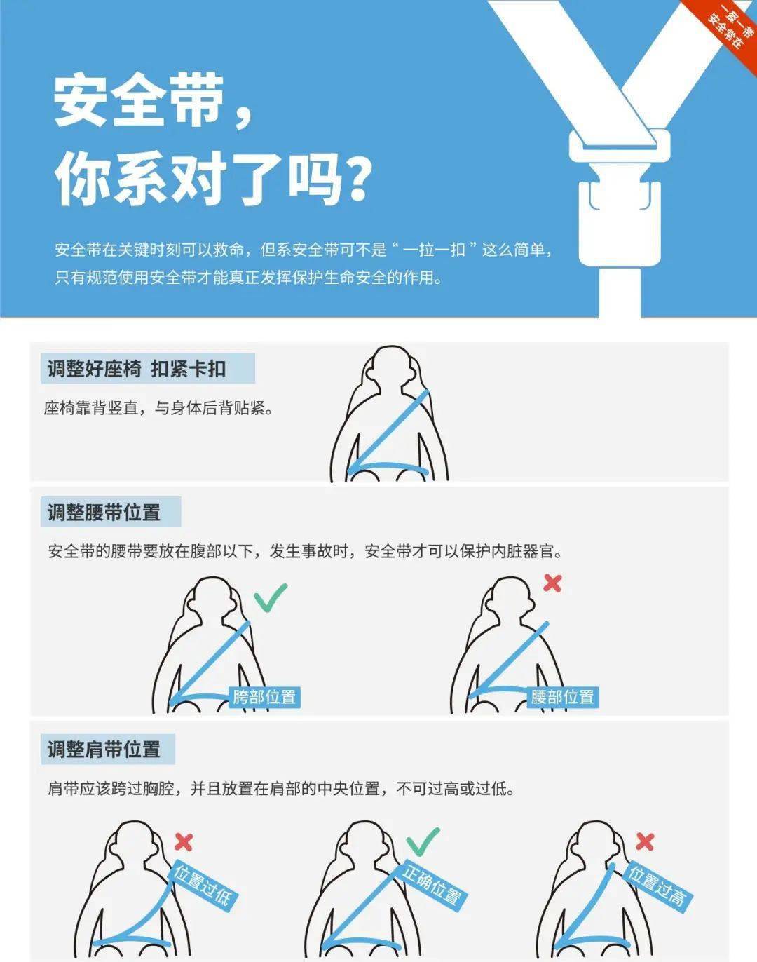 11月1日起私家车后排乘客不系安全带将被罚