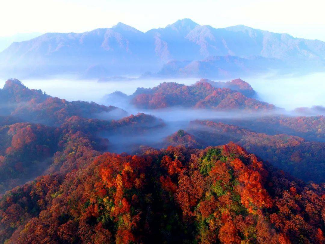 《人民日报》点赞巴中:秋山舞红叶,游客醉"红心"_巴山