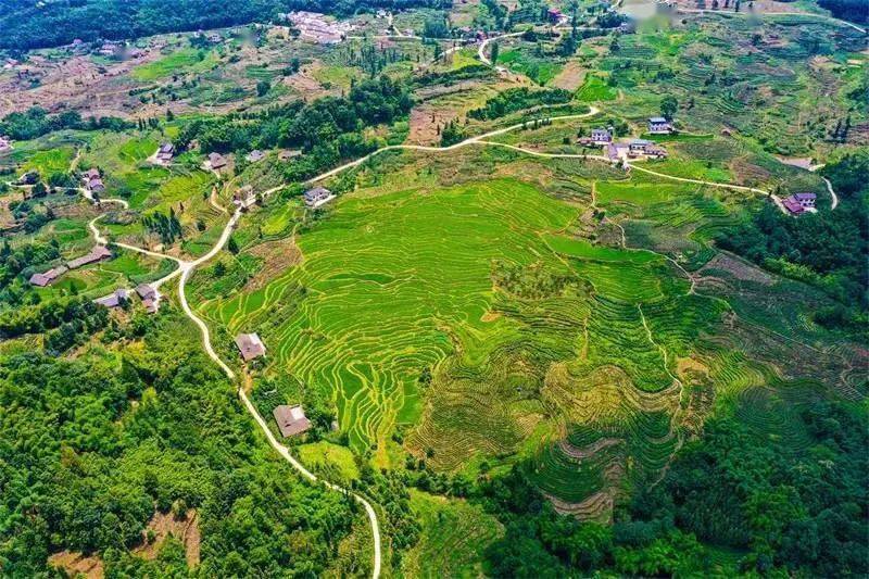 峡谷之中人在景中景在眼中探索了沐川的风景那就去看看这里的非物质文