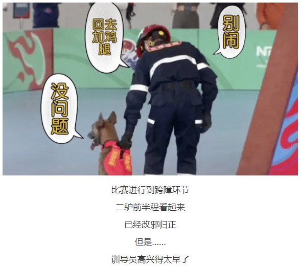 一夜之间搜救犬二驴火遍全网