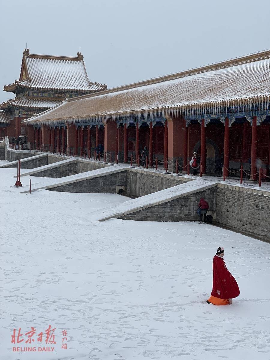 一夜梦回紫禁城!今天的故宫雪景大片来了