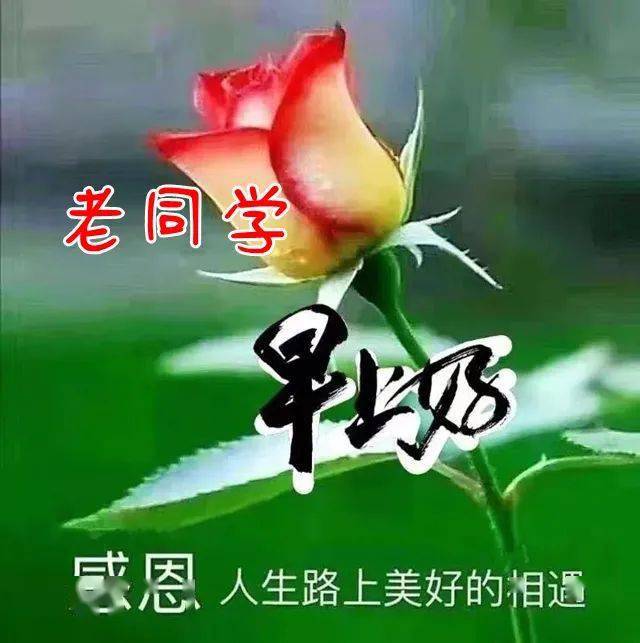 早上好表情包大全问候老同学非常时期保重身体