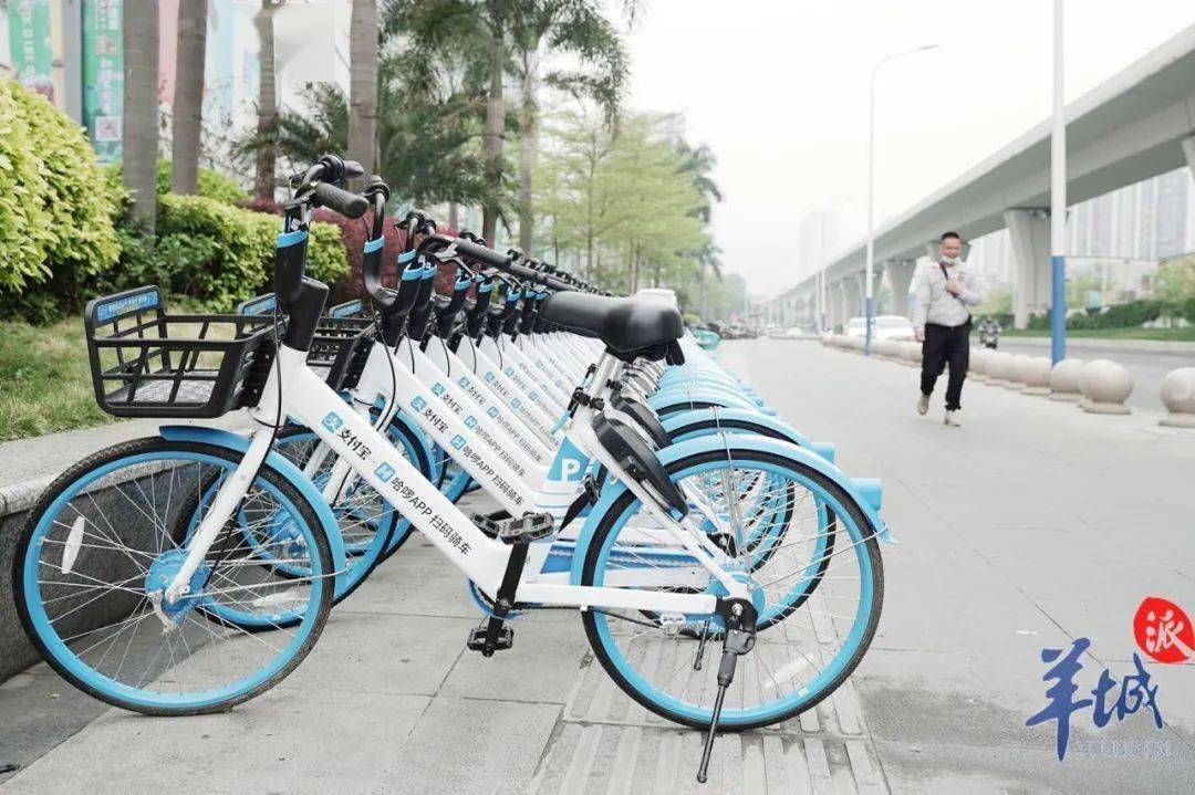 近日,广州市交通运输局就广州市互联网租赁自行车(以下简称"共享单车"