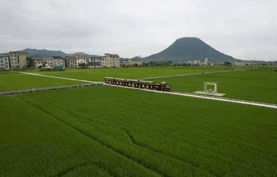 寀卢村共享田园(花园村(横店镇"陌上寻影·共享田园)东阳的美丽