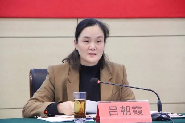 镇党委委员,人大主席吕朝霞作关于人大换届选举业务安排镇党委副书记